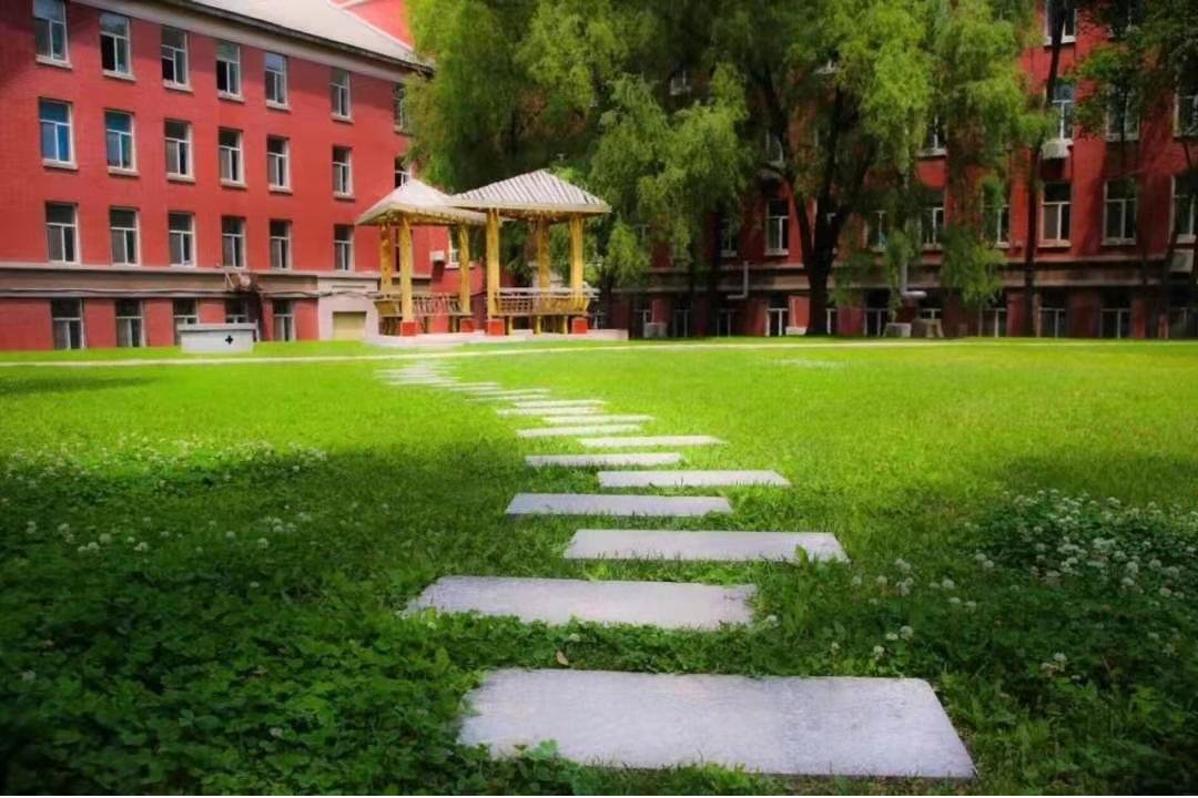 我院三个本科专业全部入选国家级一流本科专业建设点